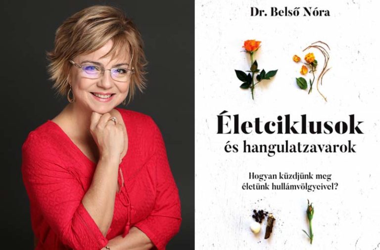 Belső Nóra, Életciklusok