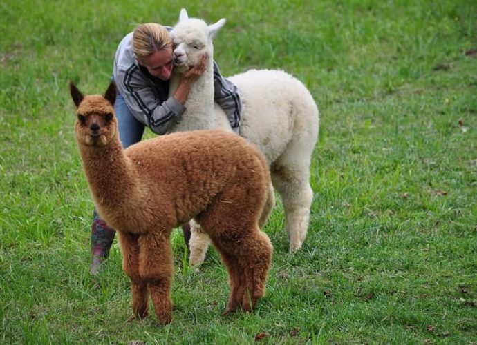 Könye katalin alpakafarm női váltó