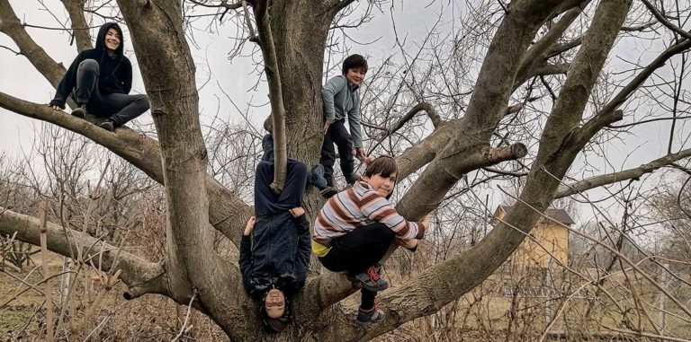 újrakezdés vidéken