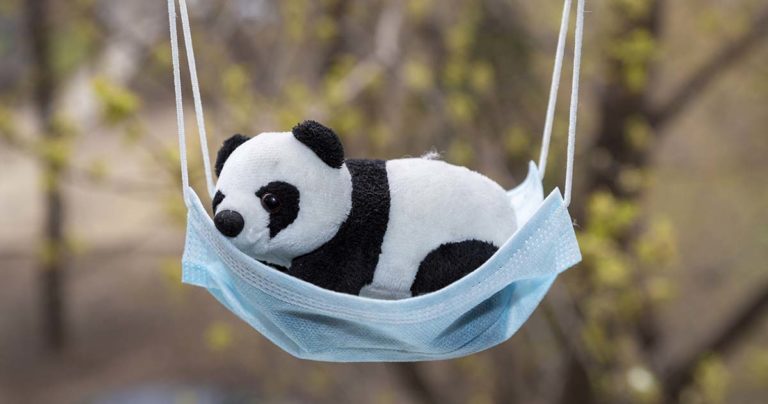 panda alszik egy maszkban, amely hintaágyként funkcionál