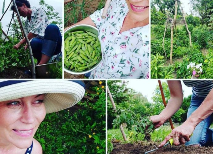 montázs növényekről és a vidékikertésznőről