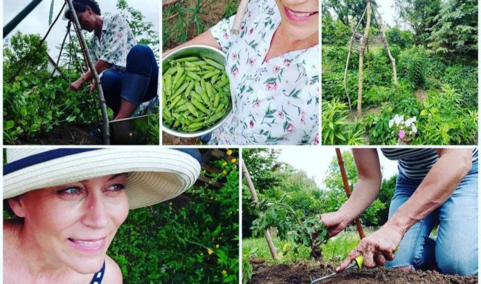 montázs növényekről és a vidékikertésznőről