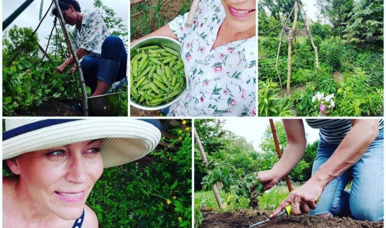 montázs növényekről és a vidékikertésznőről