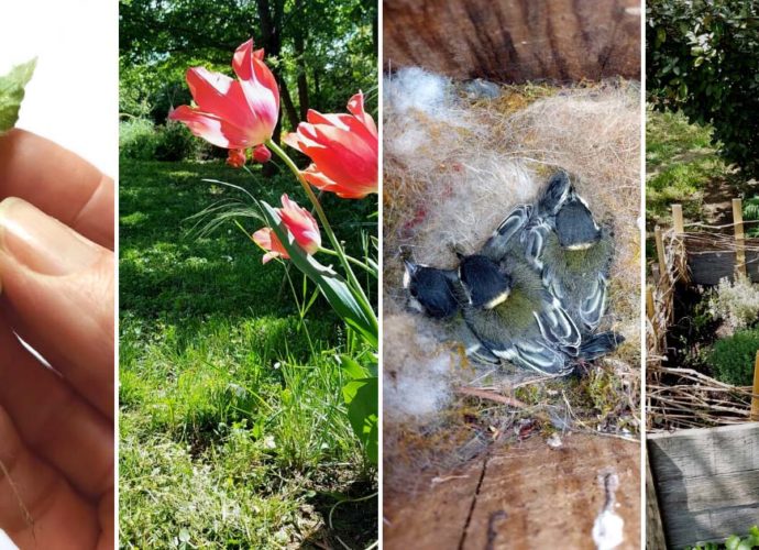 újrakezdés vidéken