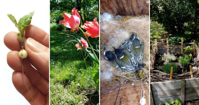 újrakezdés vidéken