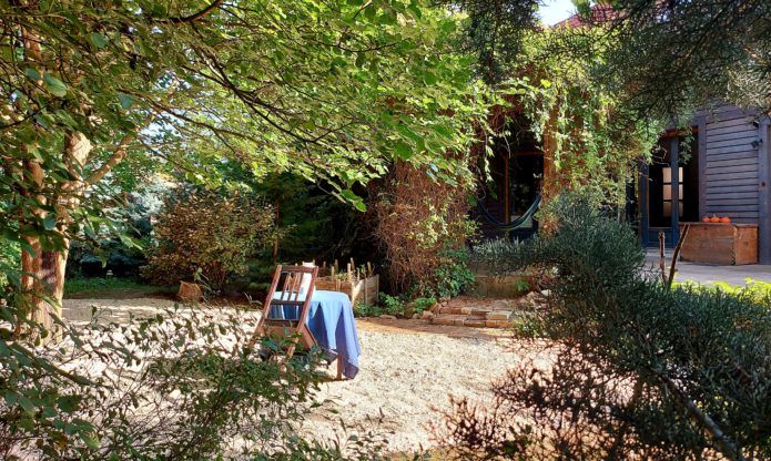 Az eperfa, aminek a terméséből eperbor készül.