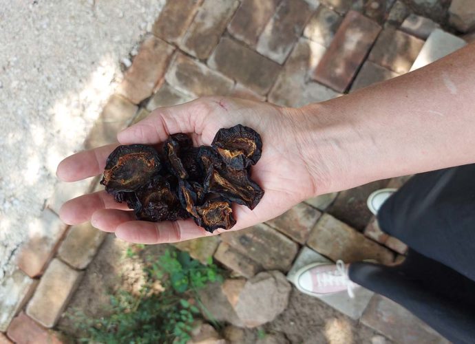 Raffer Gabi aszalványai.