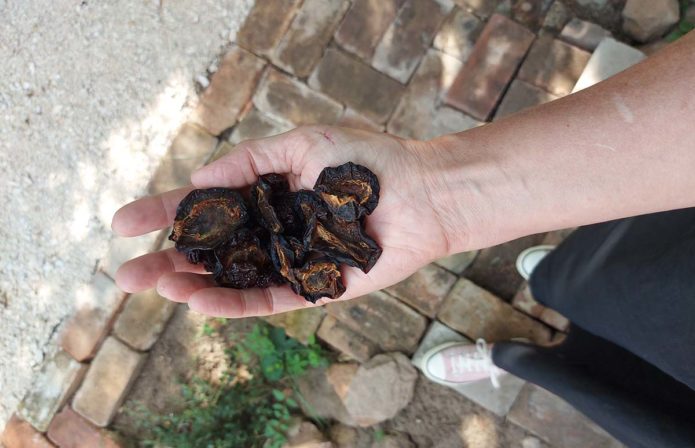 Raffer Gabi aszalványai.