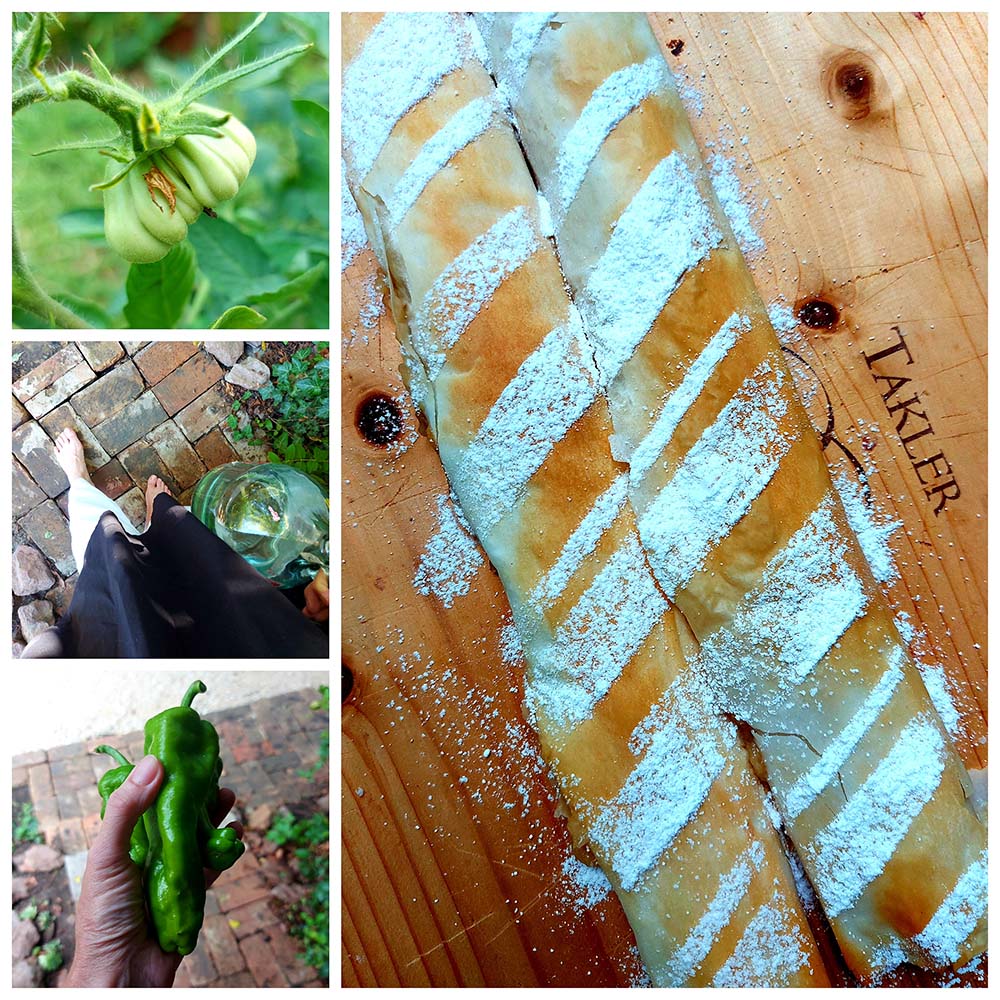 Raffer Gabi termése és rétese. 