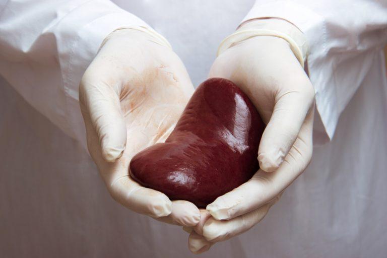 szervdonor-Csikósné Kiss Irma-transzplantáció-küldetés