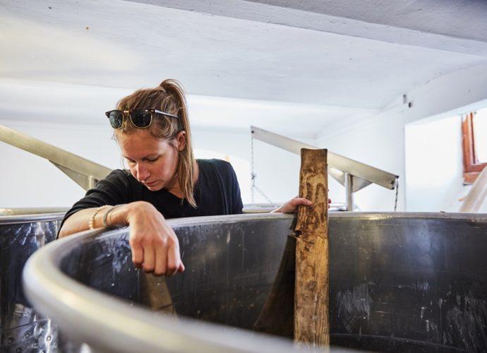 Homoky Dorka- borász-szüret