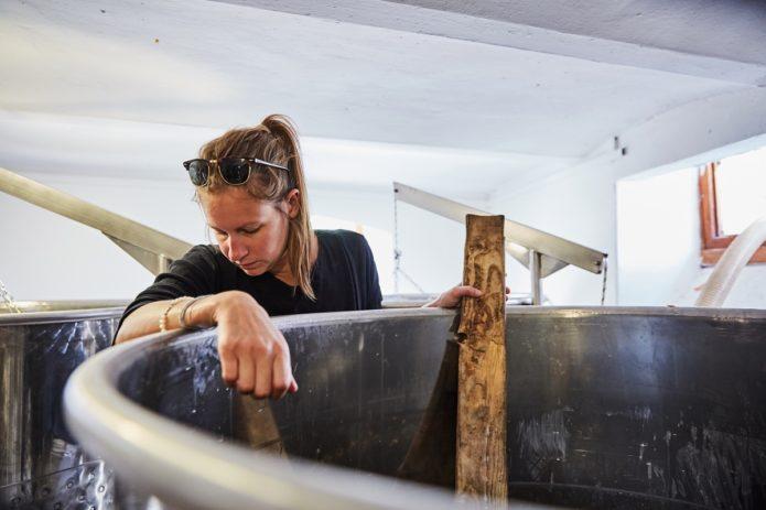 Homoky Dorka- borász-szüret