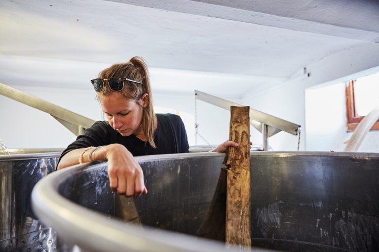 Homoky Dorka- borász-szüret