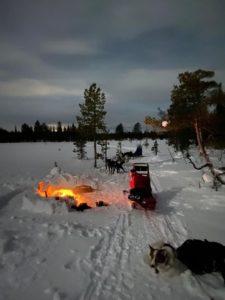 Rebecca Sordje-szánhúzó