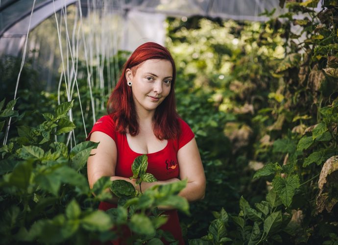 Magyar Éva-chili-kertészkedés