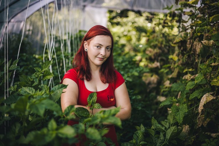 Magyar Éva-chili-kertészkedés