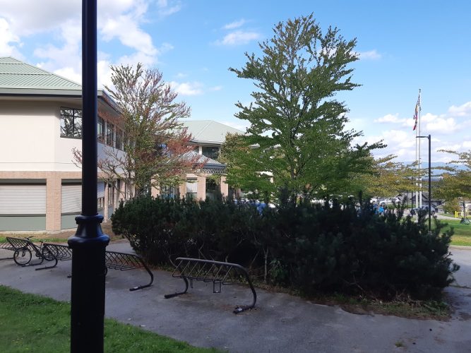 Kanada-iskola-tanulás