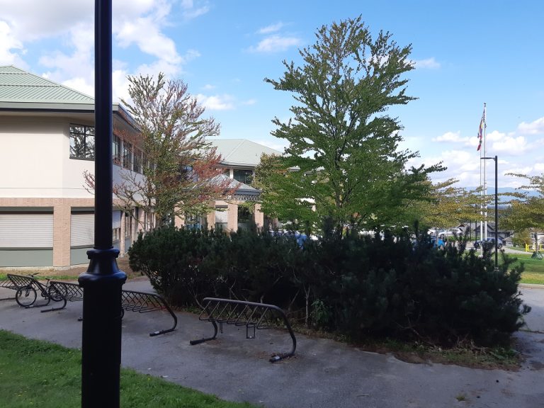 Kanada-iskola-tanulás