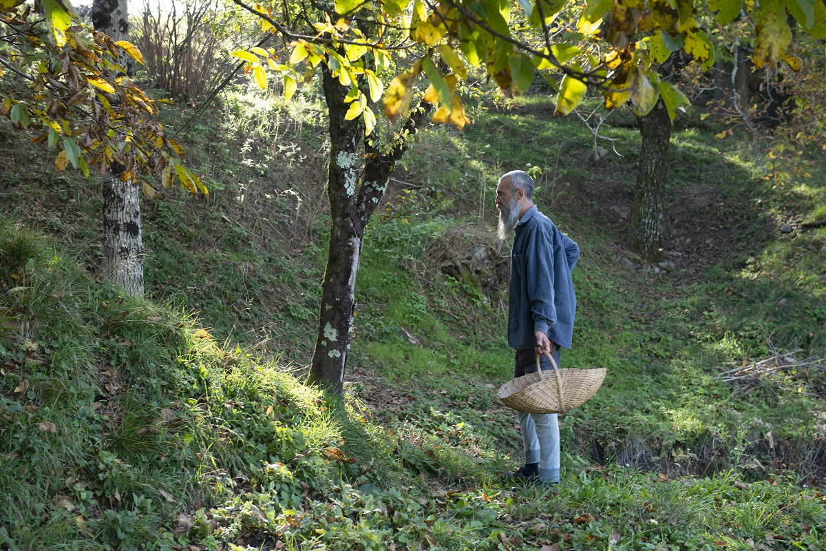 szlovénia-hegy-michelin