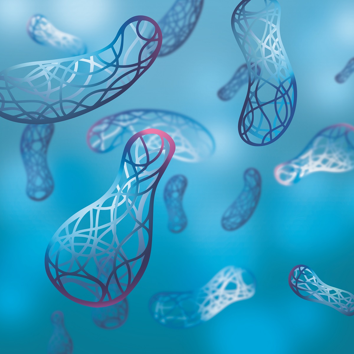 Dr. Schwab Richard-mikrobiom