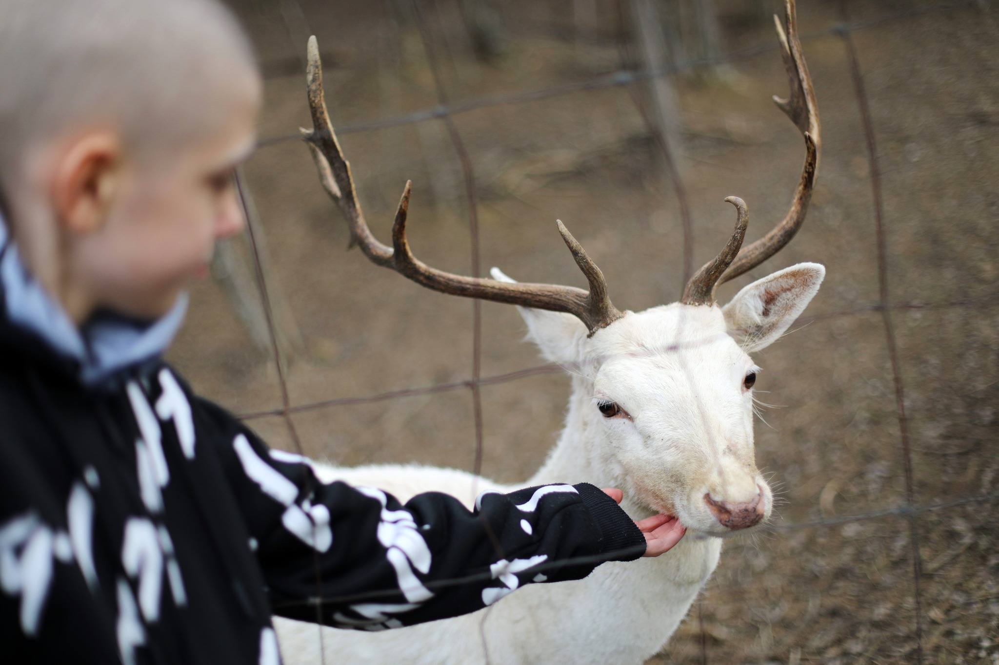KórházSuli beteg gyerek levele