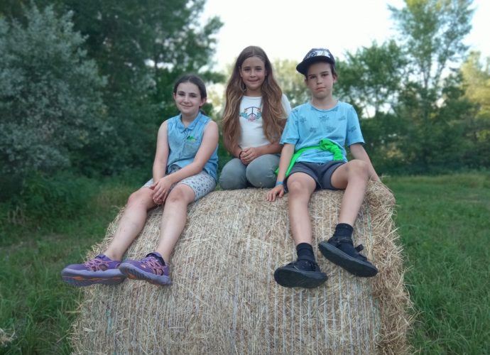 vállalkozó-gyermek-egyboglya-dobogo-seed