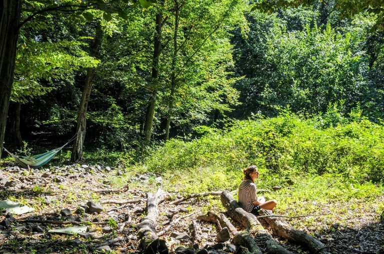 erdő-erdőmerülés