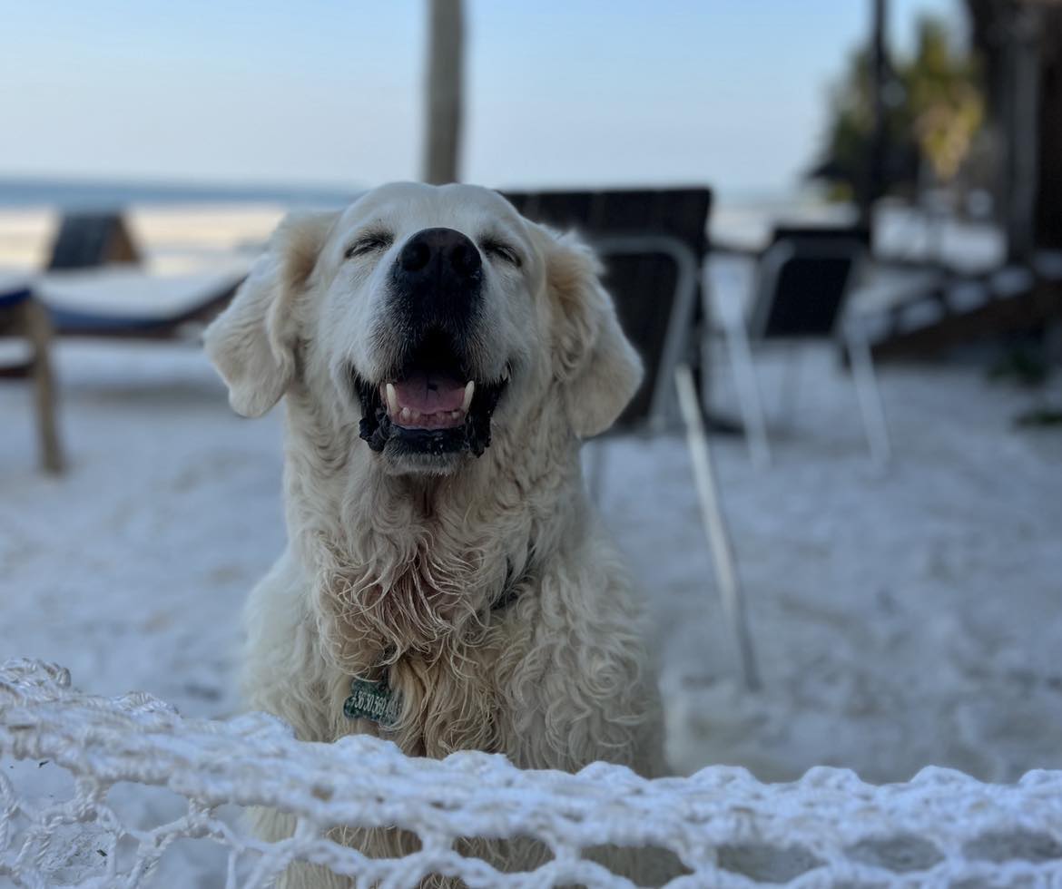 Kiégés helyett bár Zanzibárban - Helga Spicy Mama