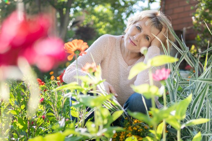 nyár-búcsúzik-novella