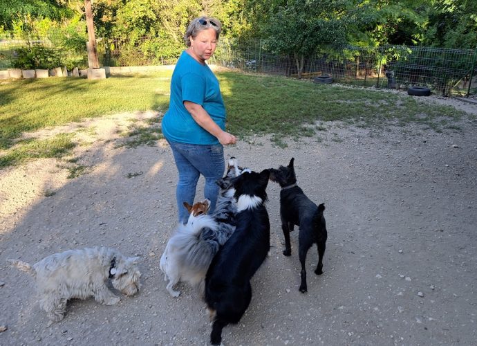 Kresák Ágnes _4 kutyasuli