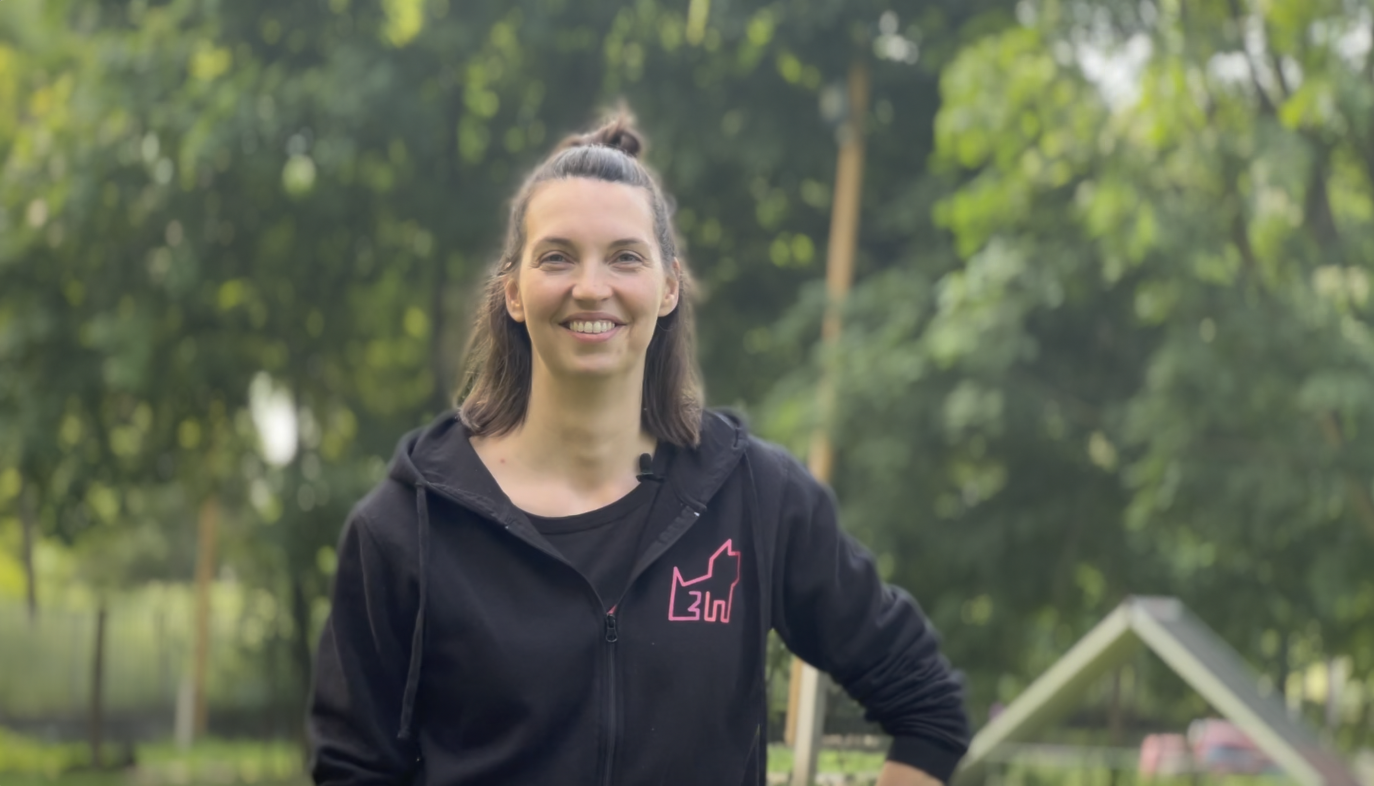 Séta a kutyával, Tükör Módszer