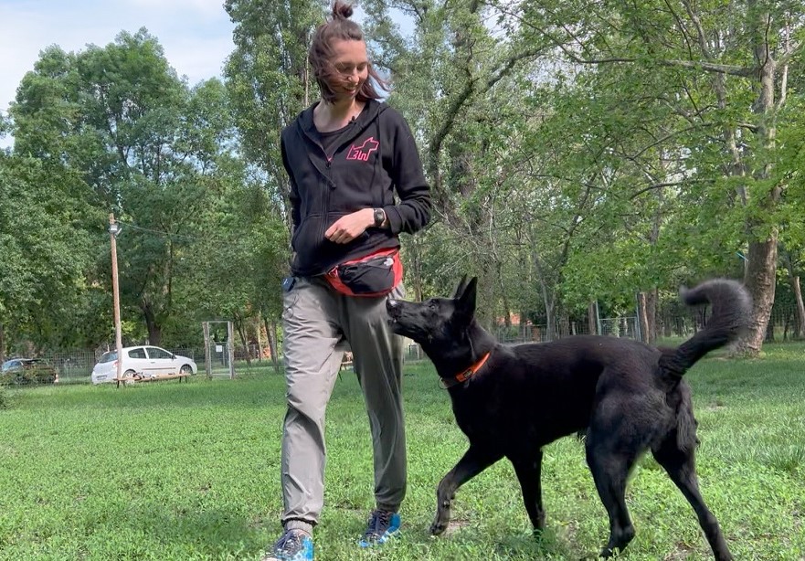 séta a kutyával, Tükör módszer