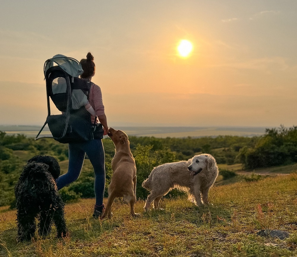 kirándulás kisbabávval, Schmidt Orsi
