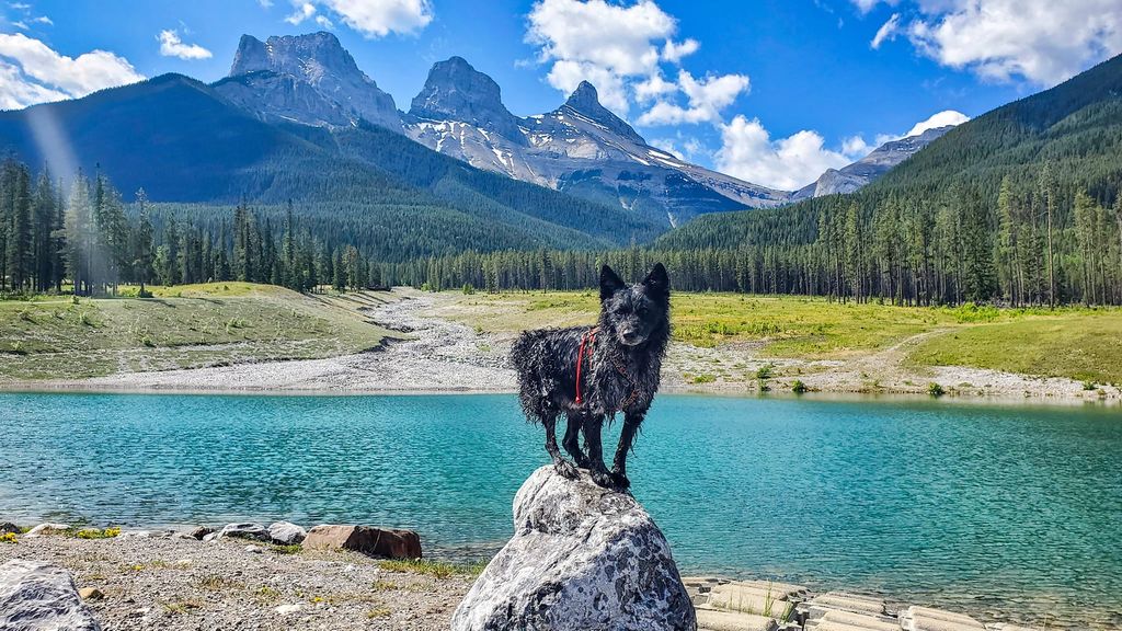 Lendvai Renáta, élet Yukonban