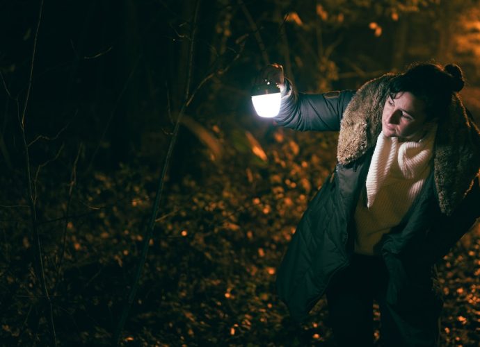 éjszaka, kutya, nő