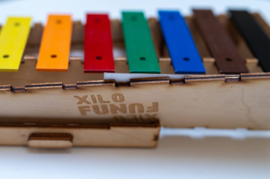 gyógypedagógus, xilofun