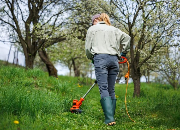 fűkasza élet falun (1)