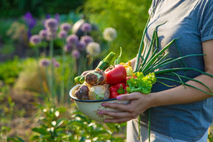 kert termés, vidékre költözés (1)