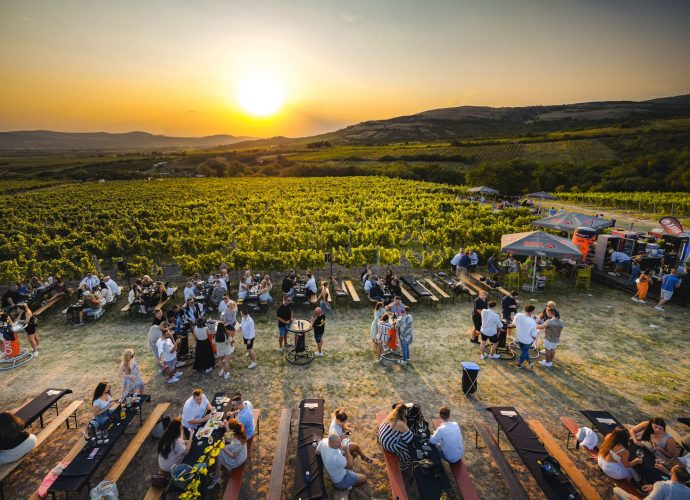 Dűlő House and Wine Party