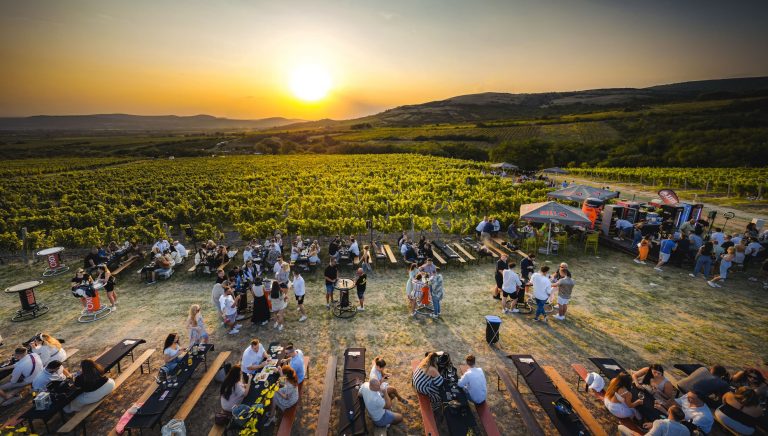 Dűlő House and Wine Party