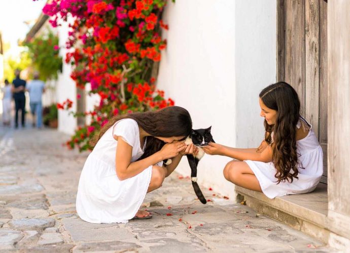 Brownie, cica gyerekek, újrakezdés Spanyolországban