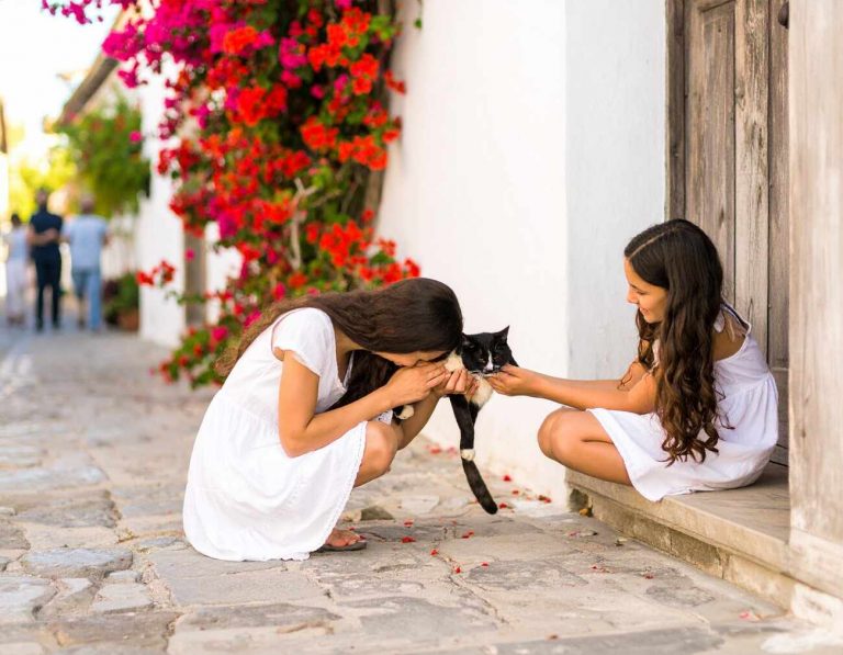Brownie, cica gyerekek, újrakezdés Spanyolországban