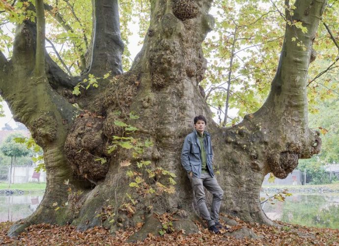 Kállai Márton Peresznye