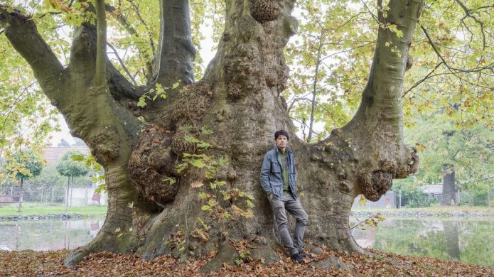 Kállai Márton Peresznye