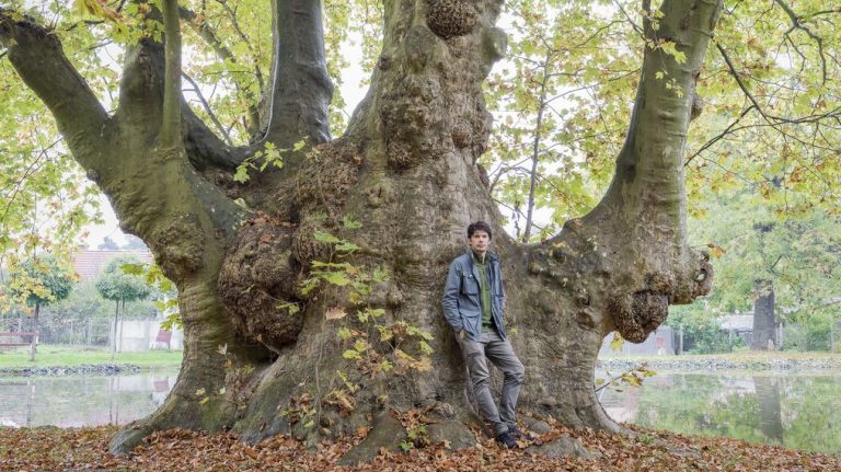 Kállai Márton Peresznye