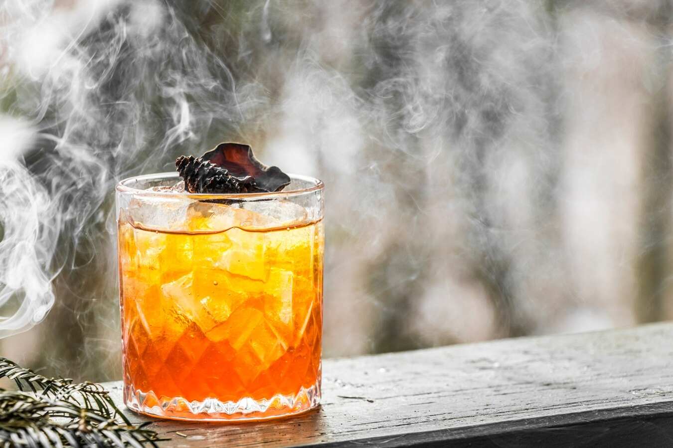 Egy csepp erdő - erdei italok könyve, Gyulai Évi