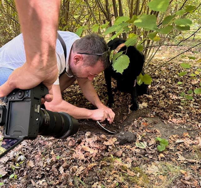 zarvasgomba, triflafarm, Megcsináltuk! 33 üzleti történet