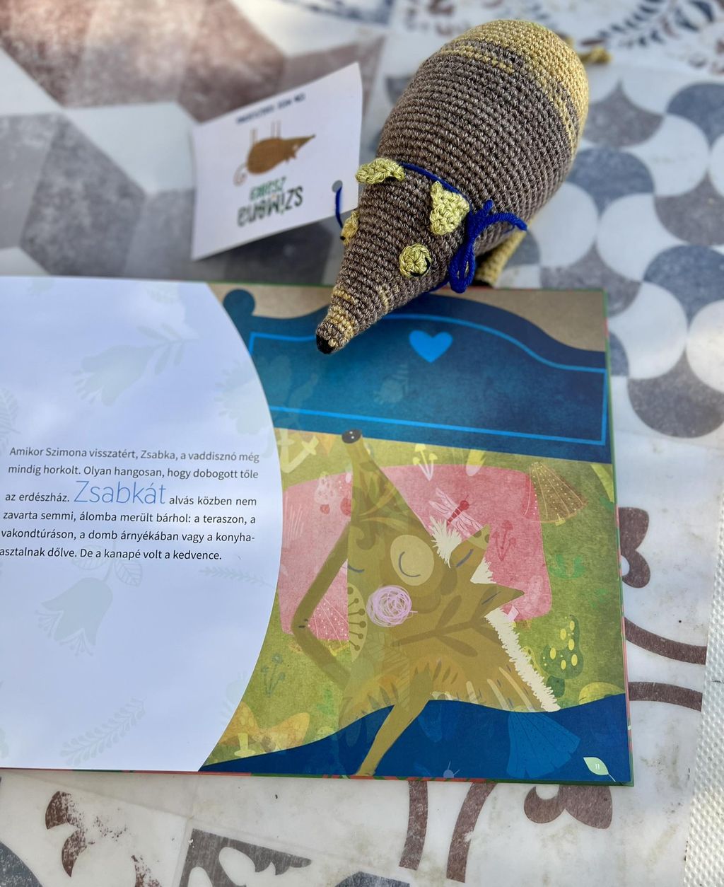 Szimona és Zsabka, fenntarthatóság, könyv