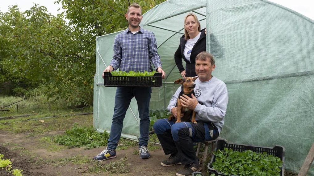 MyFarm Harta, vegyszermentes zöldség