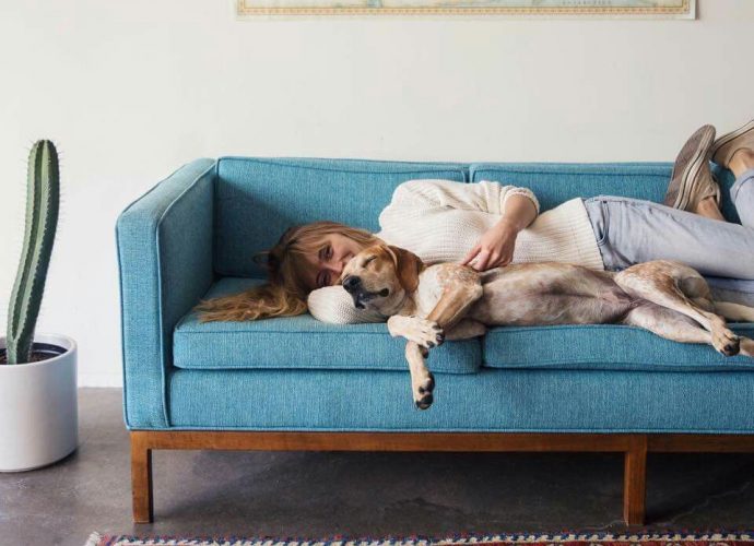 társállatgyász, Ónody Viktória